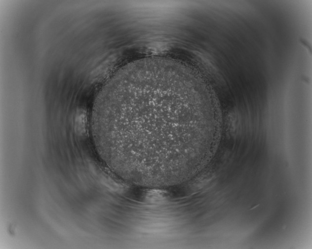 X0000101680222200807171420