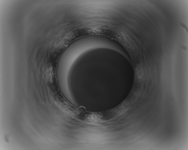 X0000101680223200807171420