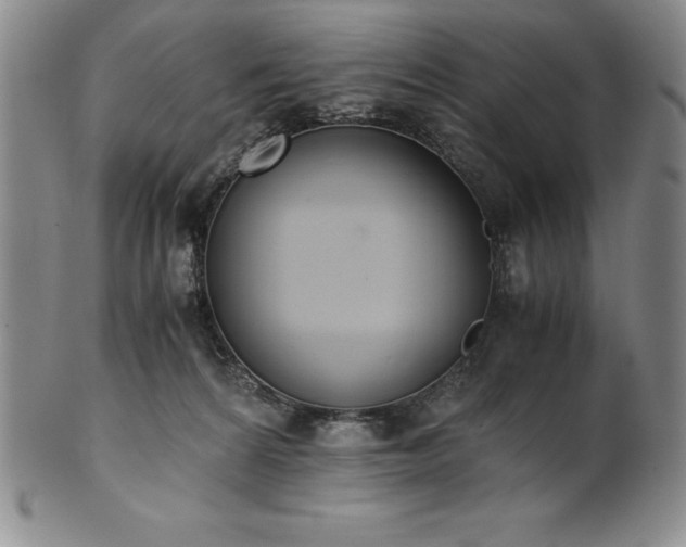 X0000101680224200807171420