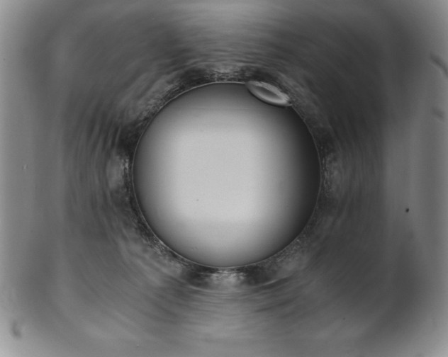 X0000101680225200807171420