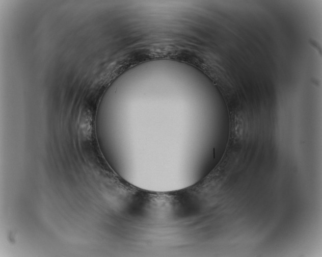 X0000101680226200807171419