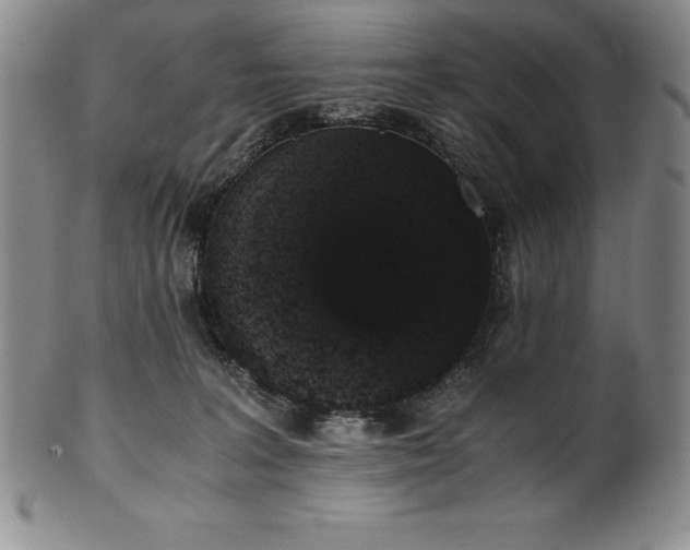 X0000101680227200807171419