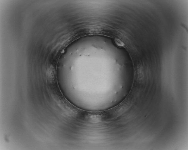 X0000101680228200807171419