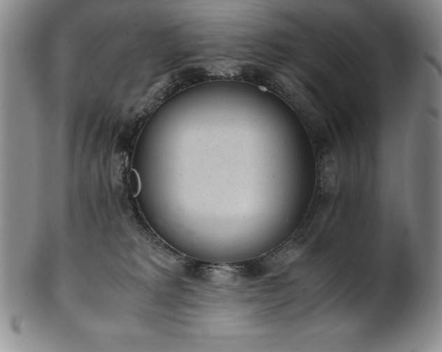 X0000101680229200807171419