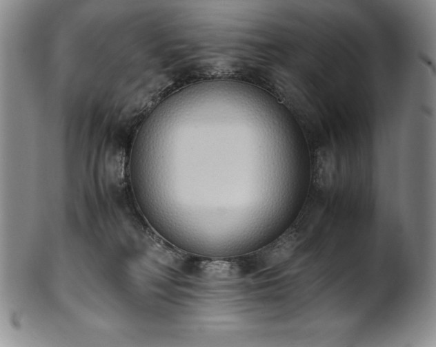 X0000101680230200807171419