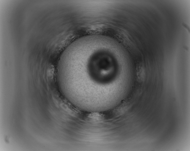 X0000101680231200807171419