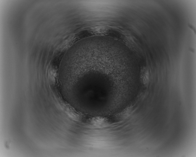 X0000101680235200807171419