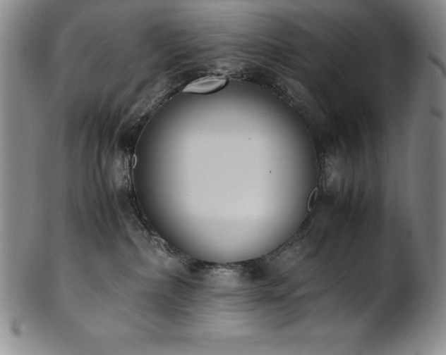 X0000101680236200807171419