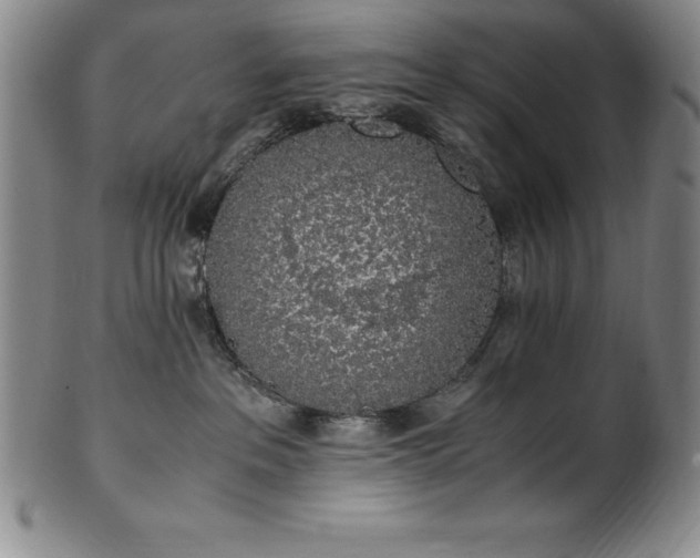 X0000101680237200807171419