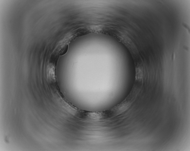 X0000101680238200807171419