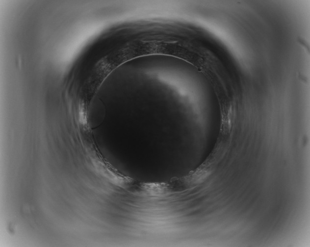 X0000101680239200807171419