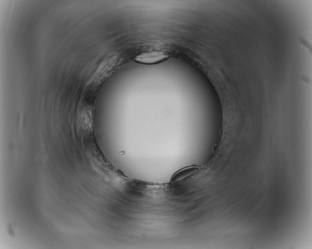 X0000101680240200807171419