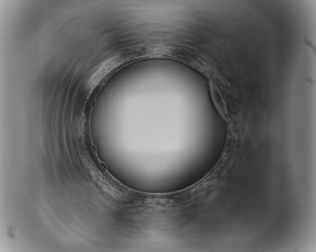 X0000101680242200807171418