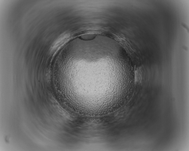 X0000101680243200807171418