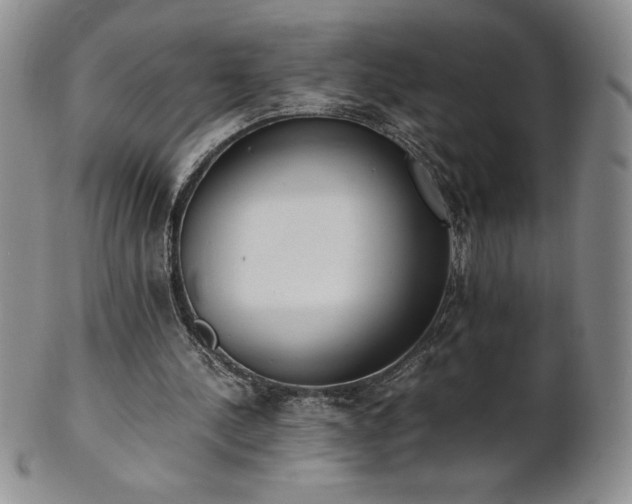 X0000101680244200807171418