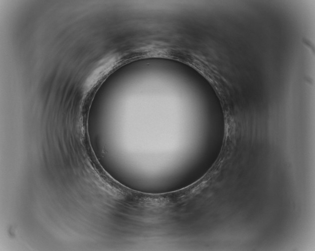 X0000101680245200807171418