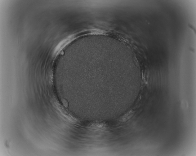 X0000101680247200807171418