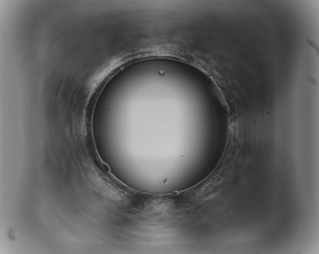 X0000101680248200807171418