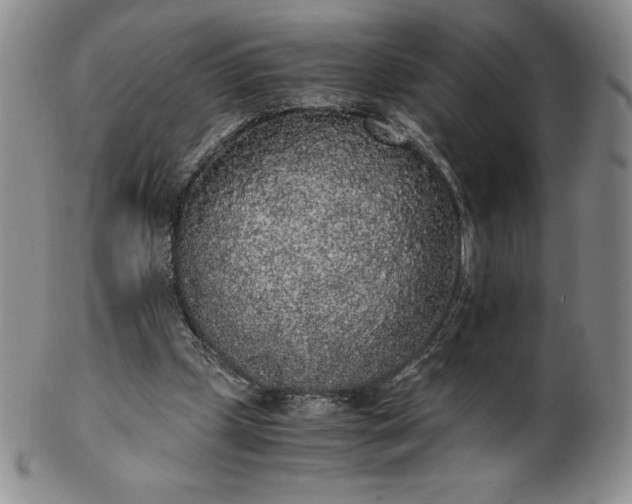 X0000101680249200807171418