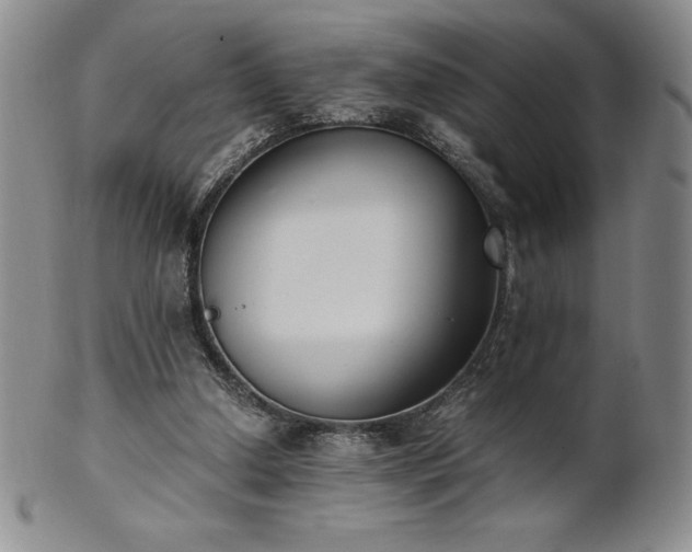 X0000101680250200807171419