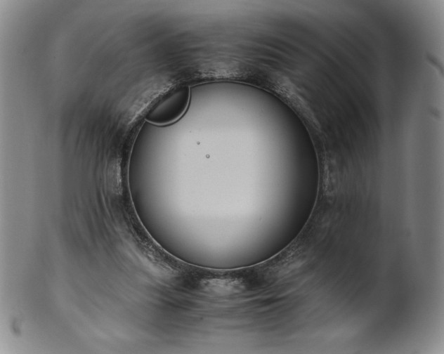 X0000101680251200807171419