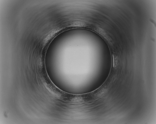 X0000101680252200807171419