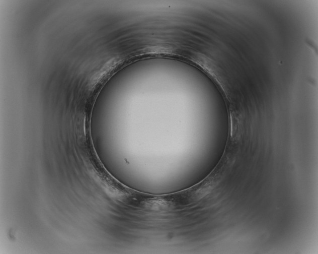 X0000101680253200807171419