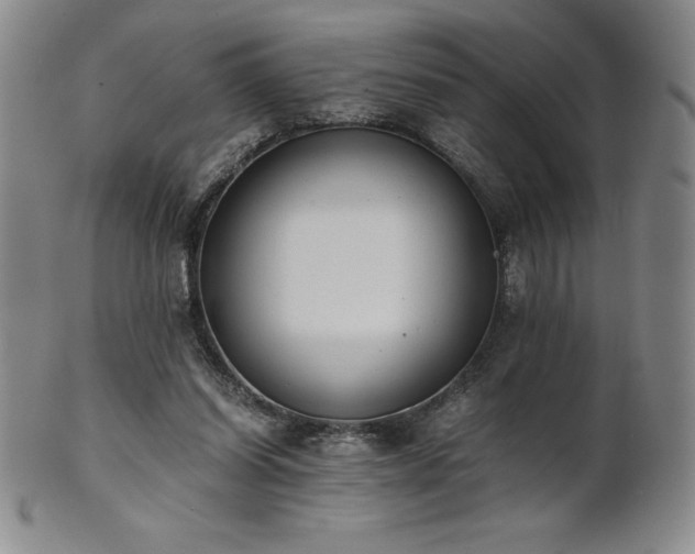 X0000101680254200807171419