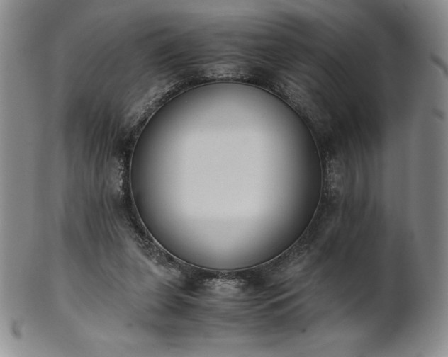 X0000101680255200807171419