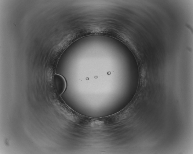 X0000101680257200807171419