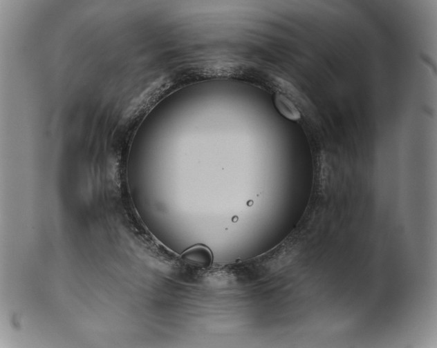 X0000101680258200807171419