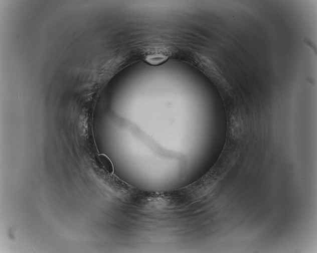 X0000101680259200807171419