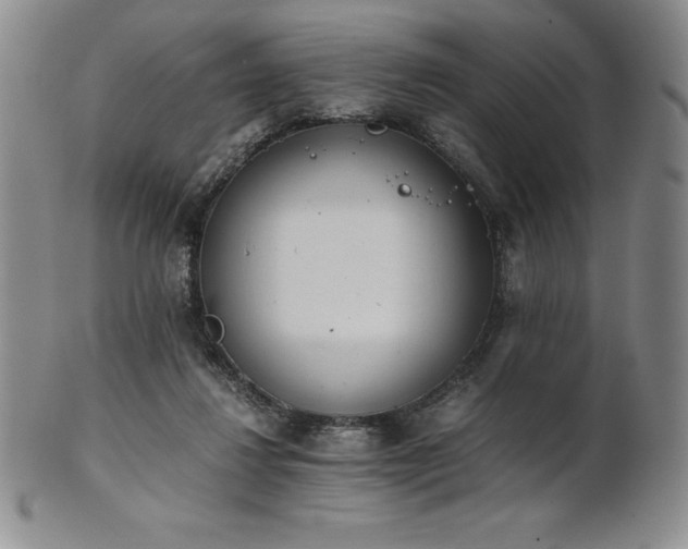 X0000101680260200807171419