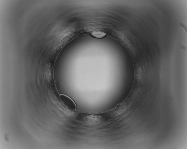 X0000101680261200807171419