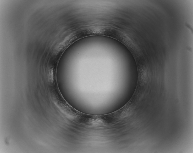 X0000101680262200807171419