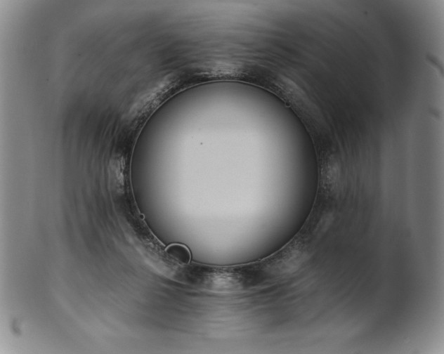 X0000101680264200807171419