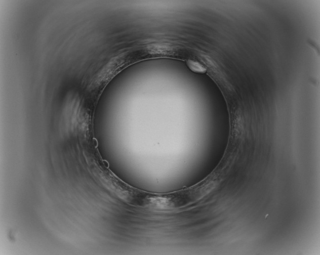 X0000101680265200807171419