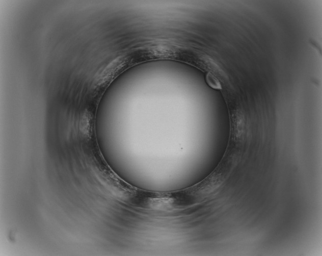 X0000101680266200807171419