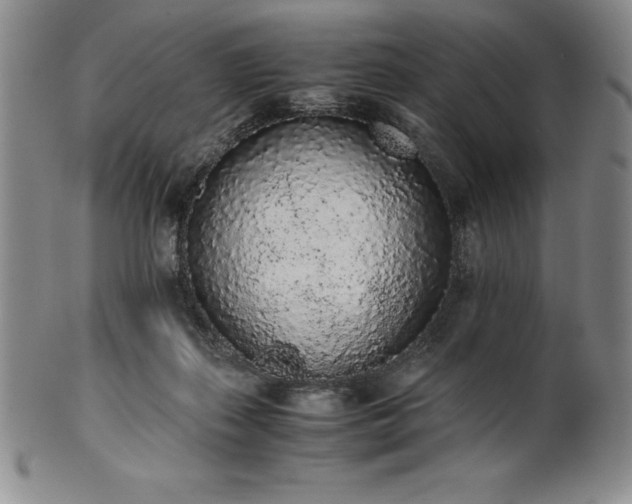 X0000101680267200807171419