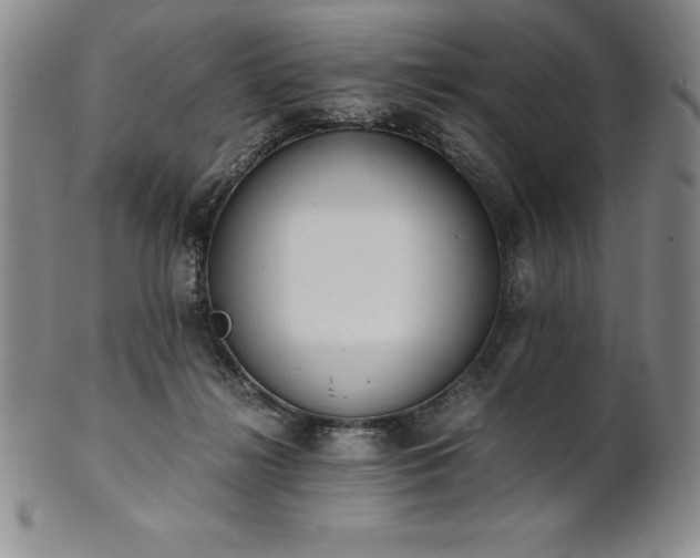 X0000101680268200807171419