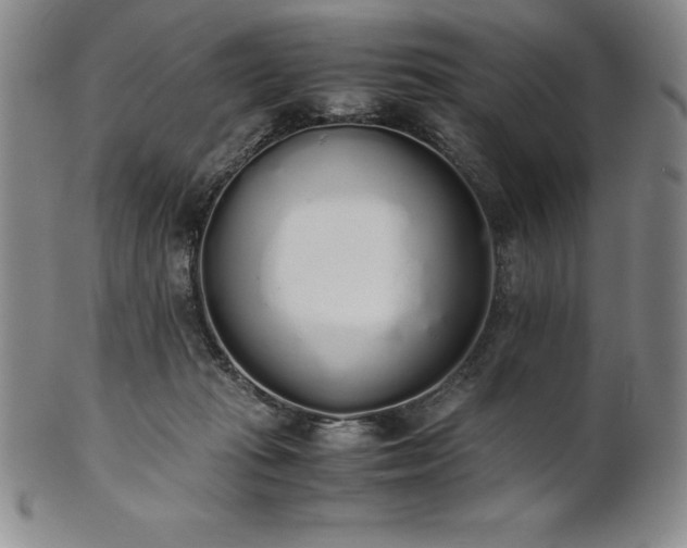 X0000101680269200807171419