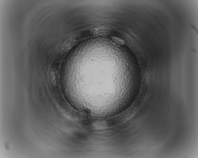 X0000101680271200807171419