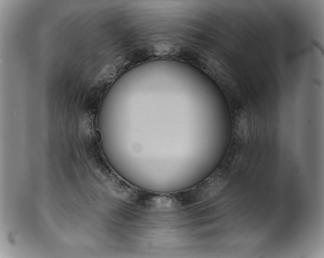 X0000101680272200807171419