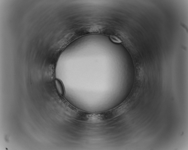 X0000101680273200807171419