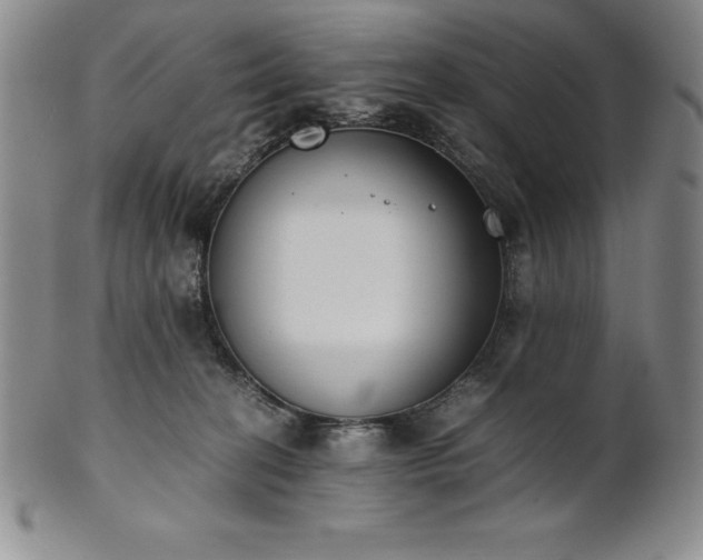 X0000101680274200807171419