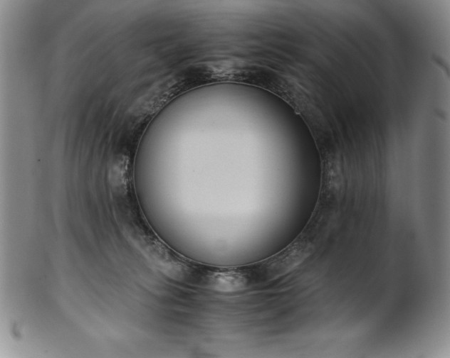 X0000101680275200807171419