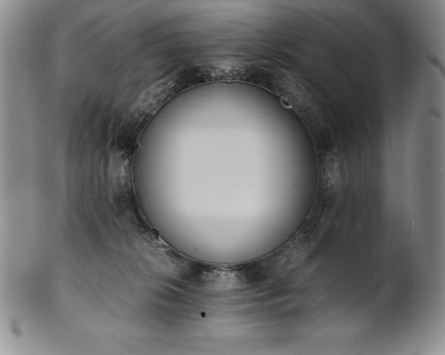 X0000101680276200807171419