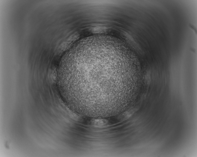 X0000101680277200807171419