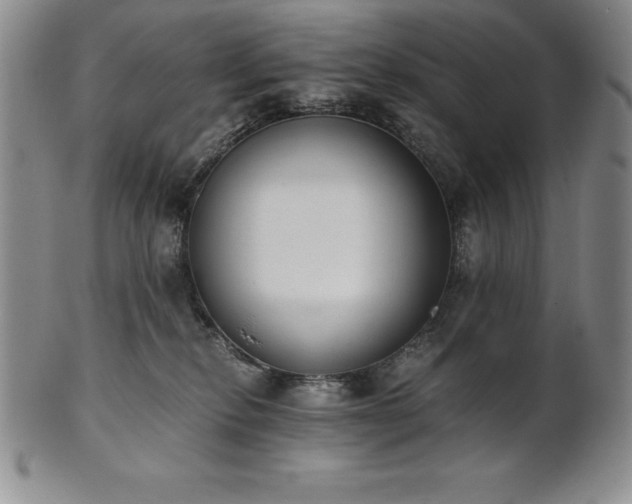 X0000101680278200807171419