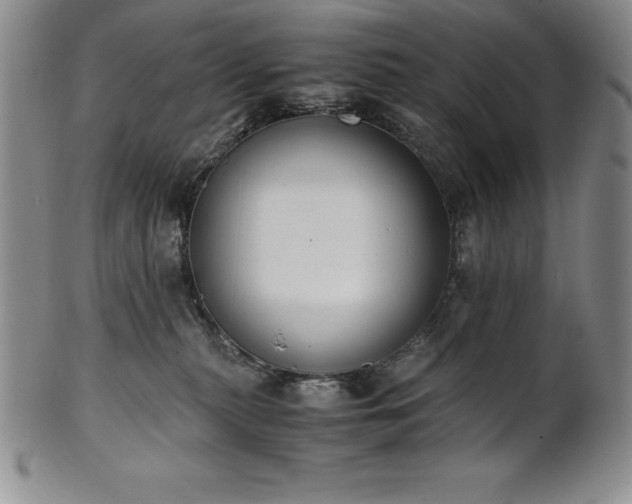 X0000101680279200807171419